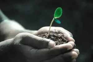 The purpose of Life – a short story!