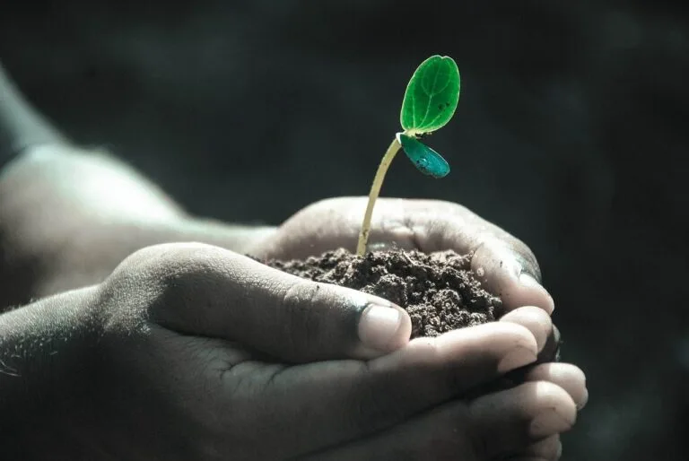 The purpose of Life – a short story!